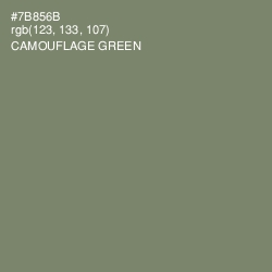 #7B856B - Camouflage Green Color Image